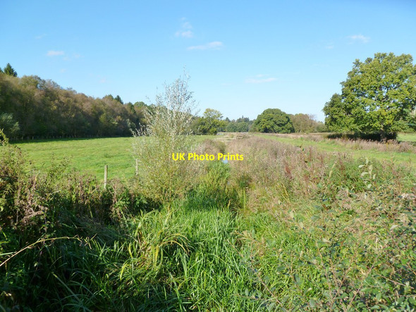 Photo 6"x4" Fordingbridge, ditch Fordingbridge c2011