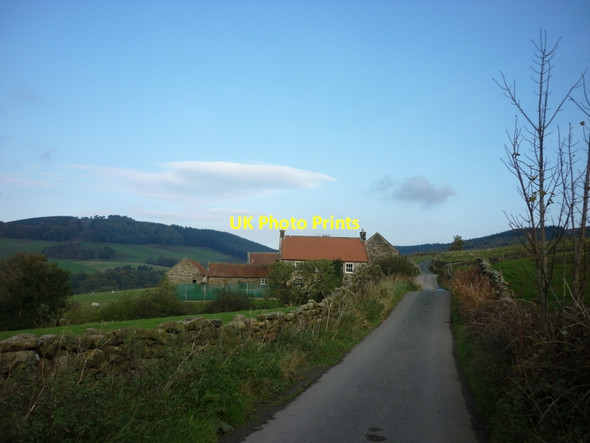 Photo 6"x4" Cow Sike, Bransdale Cockayne c2011