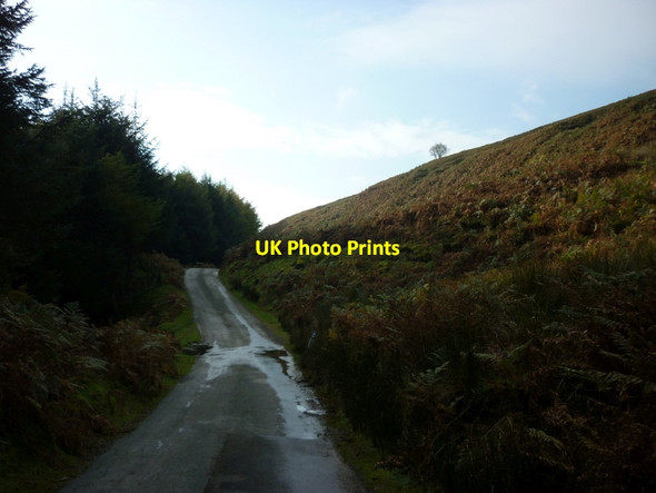 Photo 6"x4" Heading south on the west side of Bransdale Cockayne c2011