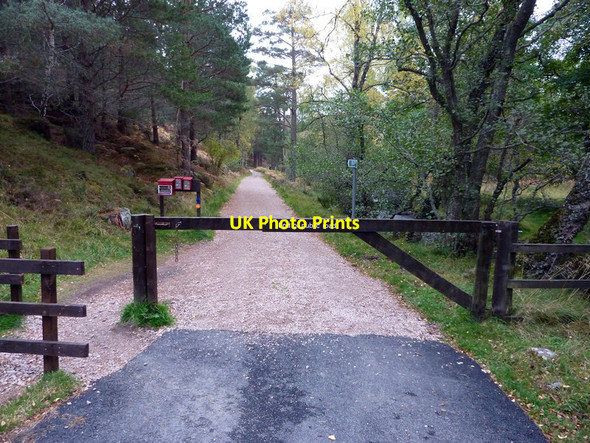Photo 6"x4" End of the public road near Loch an Eilein, Rothiemurchus Doune\/NH8809 c2011