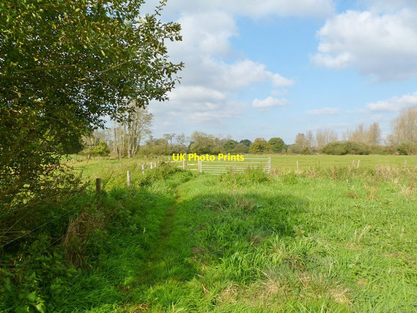 Photo 6"x4" Bickton, stile & gate Bickton c2011