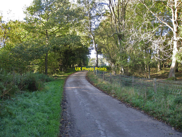 Photo 6"x4" Road to Redcar House Ampleforth c2011