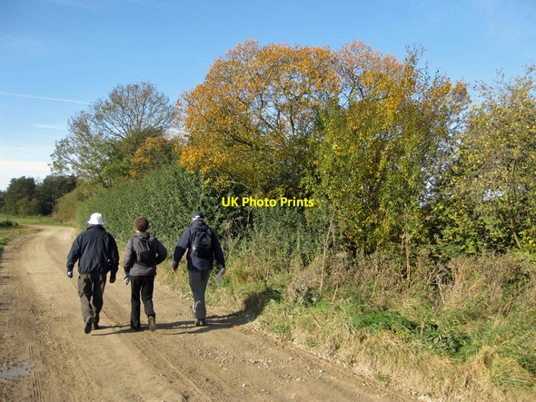 Photo 6"x4" Walkers by Holbeck, heading towards the fish ponds Ampleforth c2011