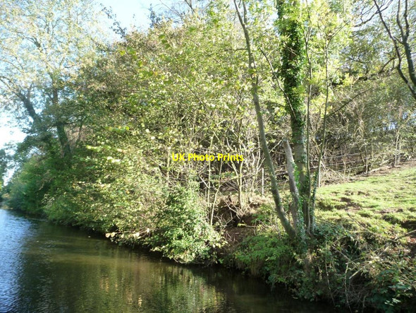 Photo 6"x4" Fence at the edge of woodland Everton\/SK6991 c2011