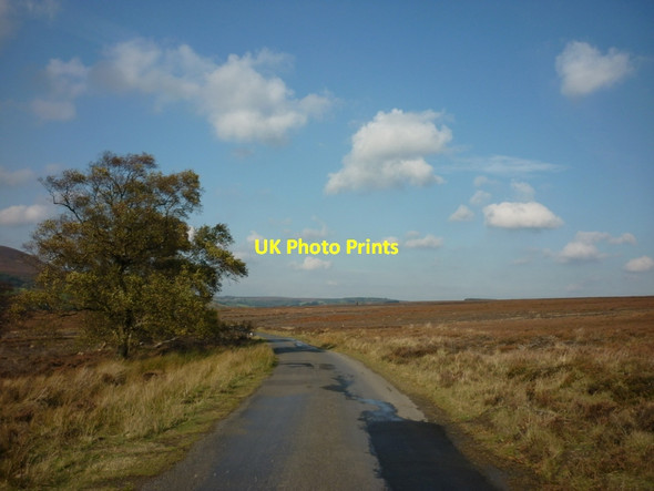 Photo 6"x4" Heading across Hawnby Moor Hawnby c2011
