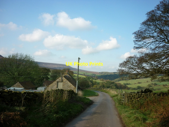Photo 6"x4" Plane Tree Farm on Hall Lane Locker Low Wood c2011