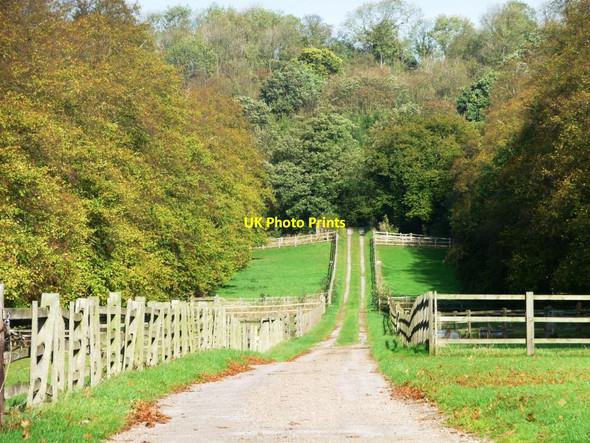 Photo 6"x4" Wiseton Hall avenue Wiseton c2011