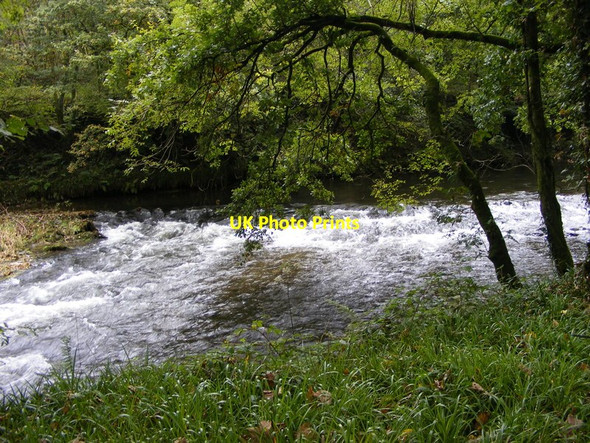 Photo 6"x4" Gwili Weir Bronwydd Arms c2011