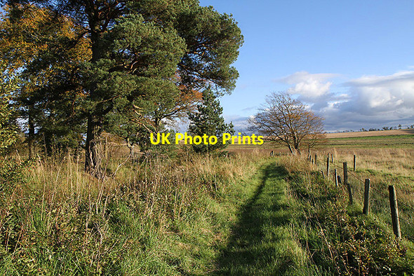 Photo 6"x4" A path at Boghouse East Third\/NT6436 c2011
