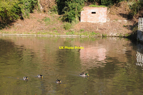 Photo 6"x4" Pillbox at Avoncliff Bradford-On-Avon c2011