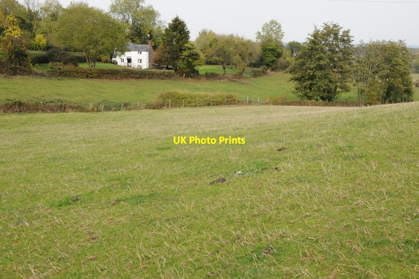 Photo 6"x4" Cottage at Durlow Common Durlow Common c2011