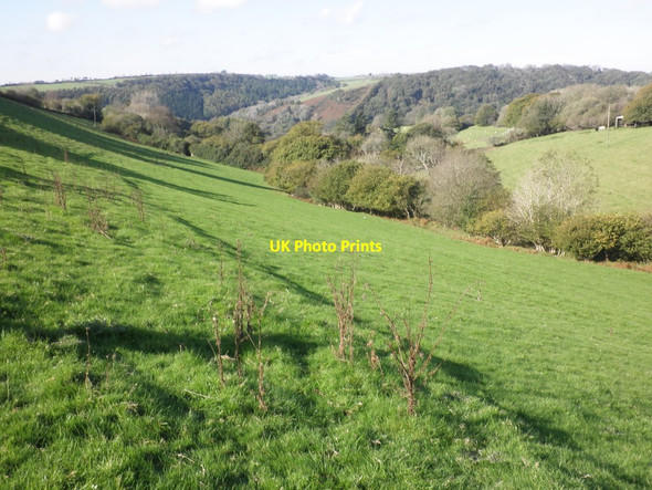 Photo 6"x4" Looking towards Smythpark Wood Bratton Fleming c2011