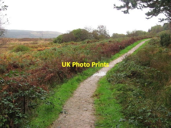 Photo 6"x4" New path to the King's Cave Tormore\/NR8932 c2011
