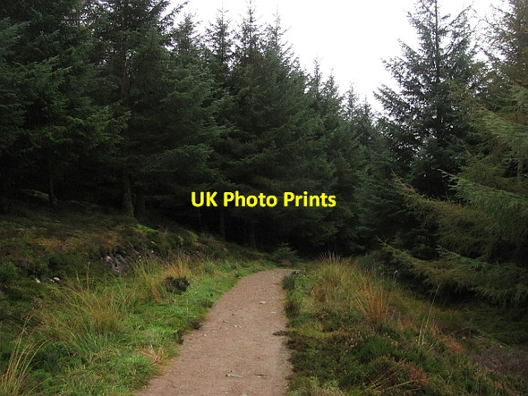 Photo 6"x4" New path to the King's Cave Tormore\/NR8932 c2011