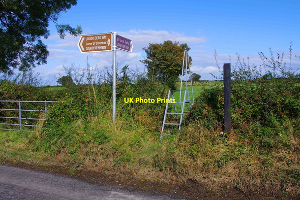 Photo 6"x4" Lough Derg Way near Garrykennedy Portroe c2011