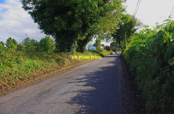 Photo 6"x4" Minor road from Garrykennedy to Portroe, near Glencrue Portroe c2011