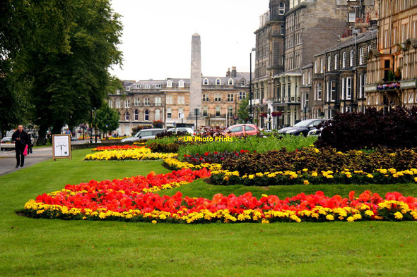 Photo 6"x4" Flowerbeds in West Park Harrogate c2011