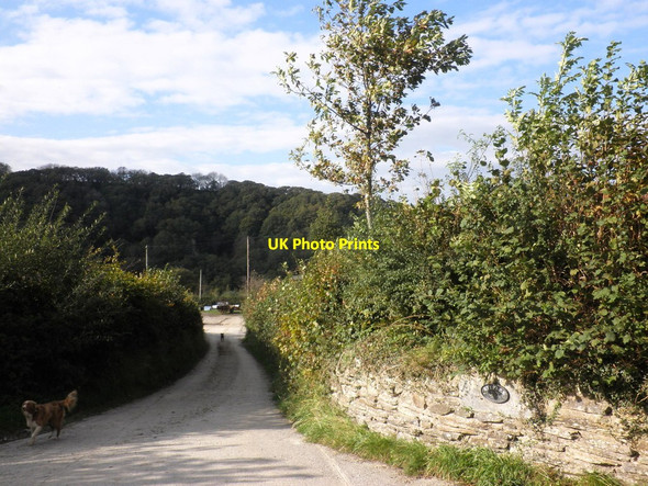 Photo 6"x4" Entrance driveway, Rye Park Knightacott\/SS6439 c2011