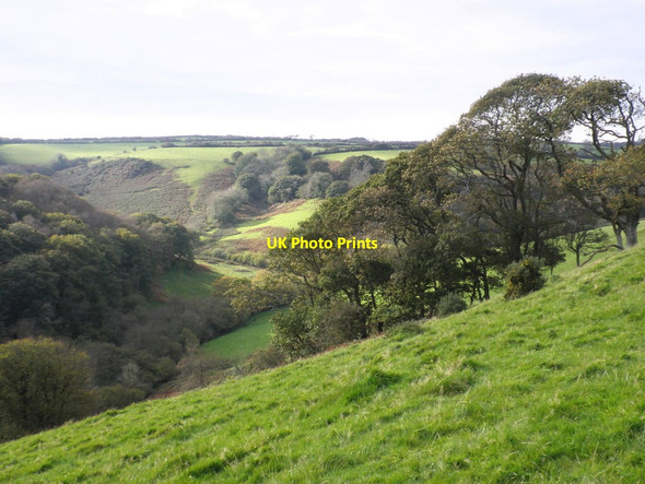 Photo 6"x4" View towards Brinscombe Copse Knightacott\/SS6439 c2011