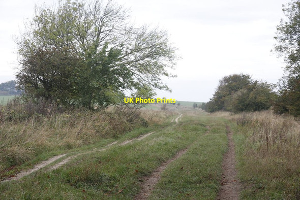 Photo 6"x4" Empty Ridgeway East Ginge c2011
