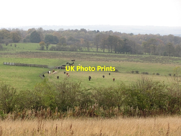 Photo 6"x4" View from Glen Noble Wishaw\/NS7955 c2011