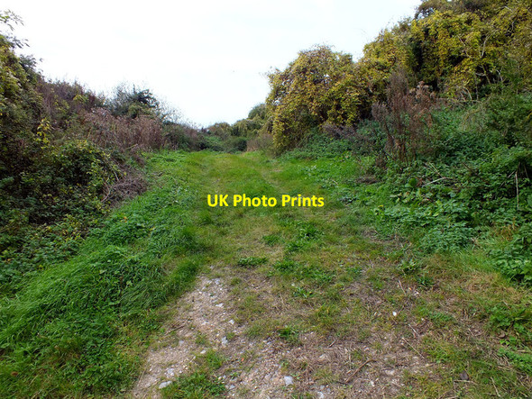 Photo 6"x4" Field entrance Pitt c2011
