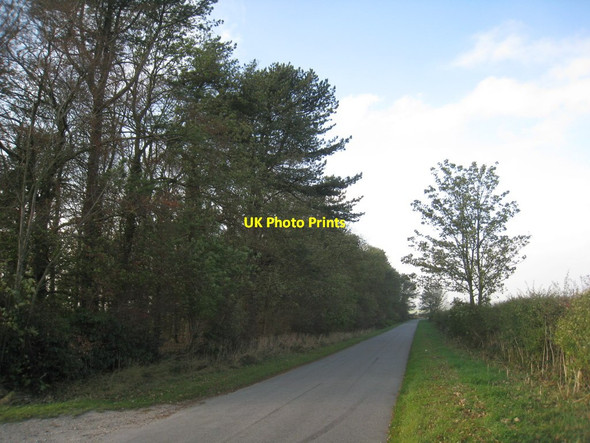 Photo 6"x4" Alongside Campbell's Wood Swallow c2011