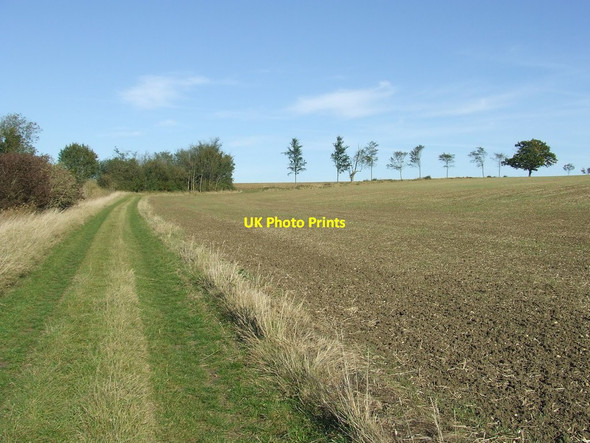 Photo 6"x4" Bury To Clare Walk Poslingford c2011