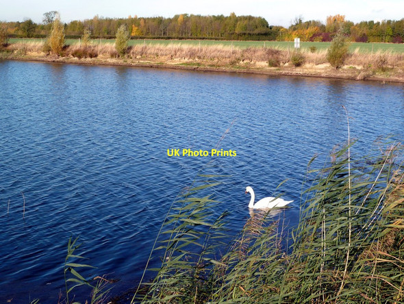 Photo 6"x4" Former gravel pit near Ambaston Ambaston c2011