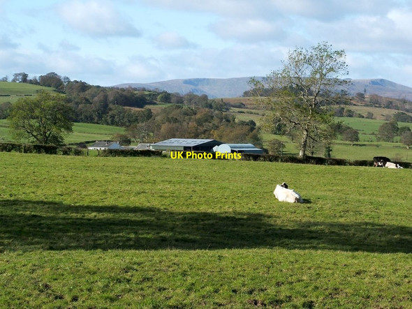 Photo 6"x4" Blairennich Farm Gartocharn c2011