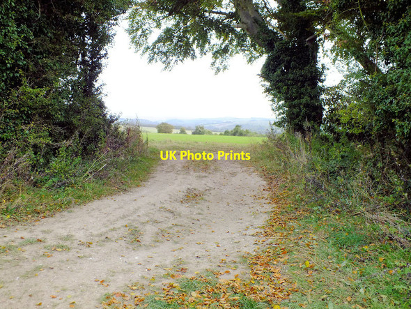 Photo 6"x4" Field entrance Pitt c2011