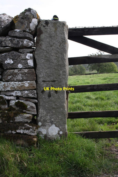 Photo 6"x4" Benchmark on gatepost beside Grassgill Lane West Witton c2011