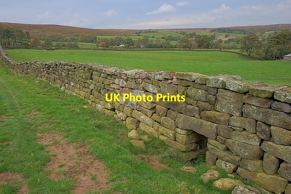 Photo 6"x4" Hogg Hole in Stone Wall Westerdale\/NZ6605 c2011