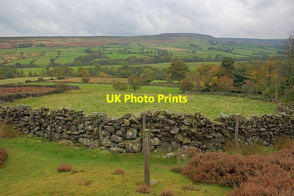 Photo 6"x4" Field in Westerdale Westerdale\/NZ6605 c2011