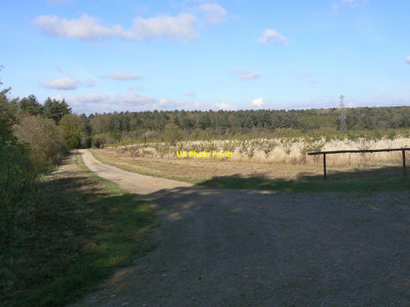 Photo 6"x4" New plantation Clipston\/SK6334 c2011