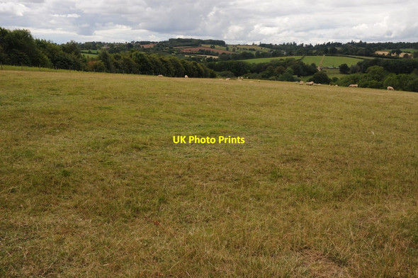 Photo 6"x4" View over the Frome valley Flaggoners Green c2011