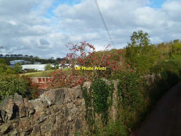 Photo 6"x4" Orange Way in Devon and Torbay (31) Yalberton c2011