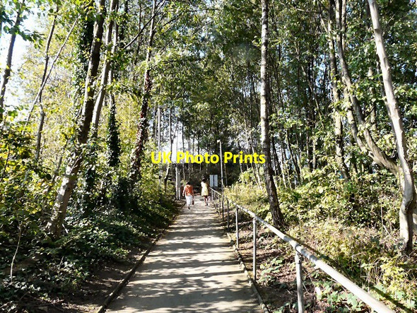 Photo 6"x4" Path to Mills Hill Station Middleton\/SD8706 c2011