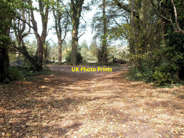 Photo 6"x4" Joining the drove Burcombe\/SU0730 c2011