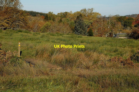 Photo 6"x4" Footbridge near Spital Tower Bedrule c2011