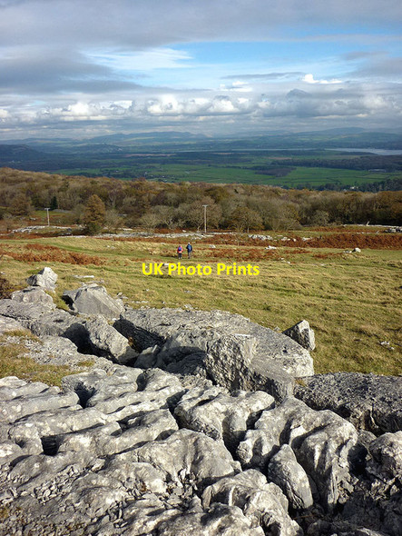 Photo 6"x4" Limestone pavement on Bishop's or Tithe Allotment, Hampsfell Grange-Over-Sands c2011