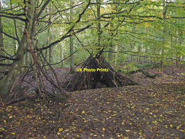Photo 6"x4" Shelter under construction, Ray Wood Coneysthorpe c2011
