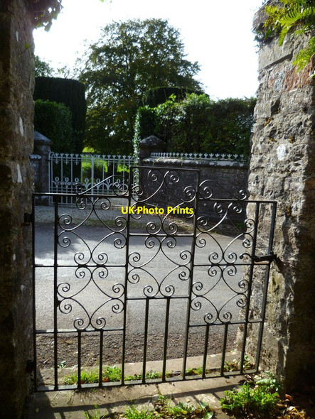 Photo 6"x4" Orange Way in Devon and Torbay (58) Totnes c2011