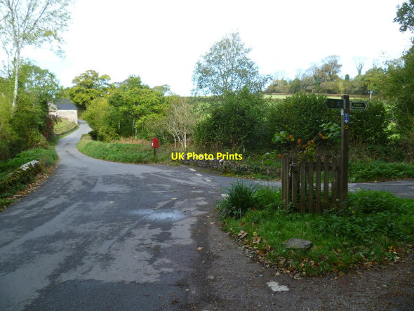 Photo 6"x4" Orange Way in Devon and Torbay (67) Blagdon\/SX8561 c2011