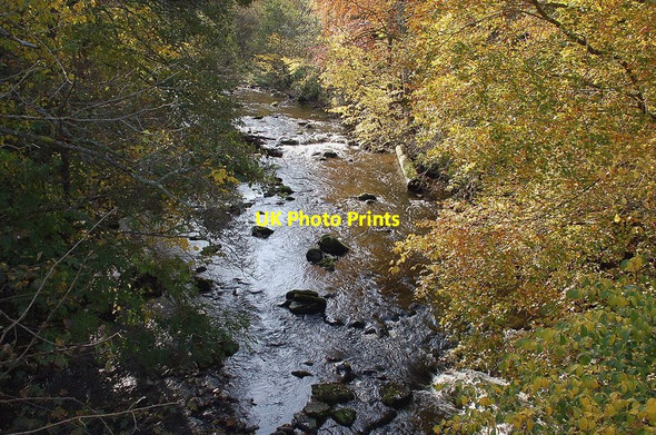 Photo 6"x4" Upstream on the Rule Water Bedrule c2011
