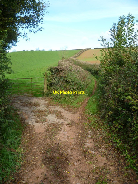 Photo 6"x4" Orange Way in Devon and Torbay (71) Marldon c2011