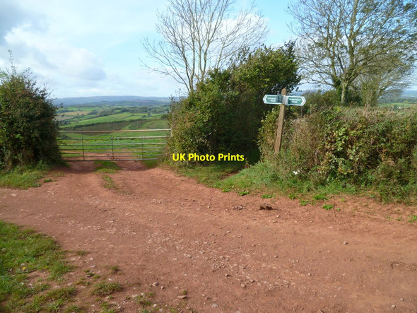 Photo 6"x4" Orange Way in Devon and Torbay (77) Dainton c2011