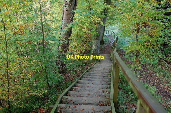 Photo 6"x4" Steps down to the Miller's Burn, Jedburgh Jedburgh c2011
