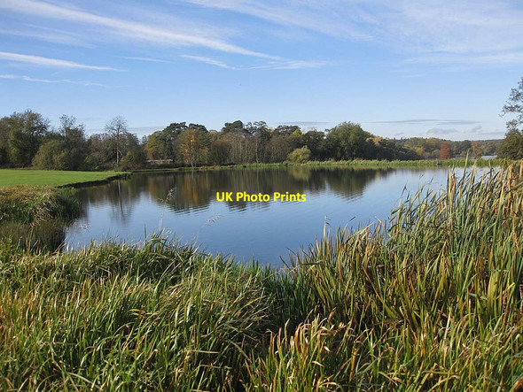 Photo 6"x4" Dairy Pond, Castle Howard Coneysthorpe c2011