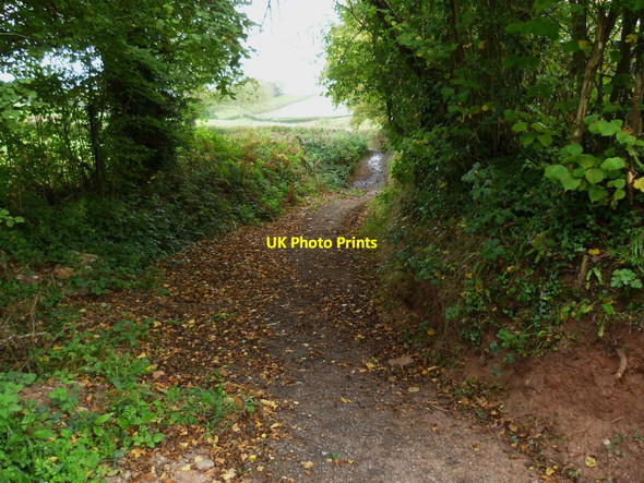 Photo 6"x4" Orange Way in Devon and Torbay (95) Abbotskerswell c2011